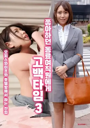 选片指南配图：按题材分类的档案夹
